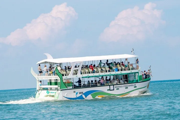Whale watching cruiser leaving Mirissa harbour at dawn on a Mirissa whale watching tour, southern Sri Lanka