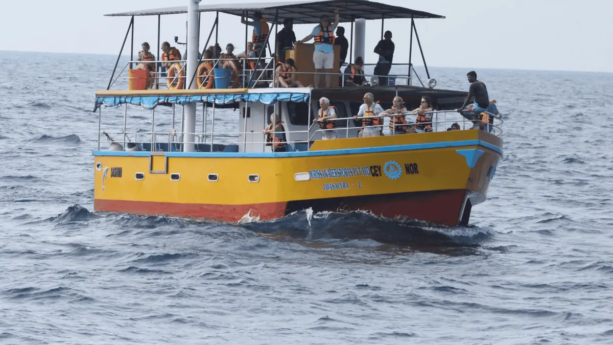 Blue whale surfacing near a tour boat on an all inclusive Mirissa whale watching tour, Sri Lanka