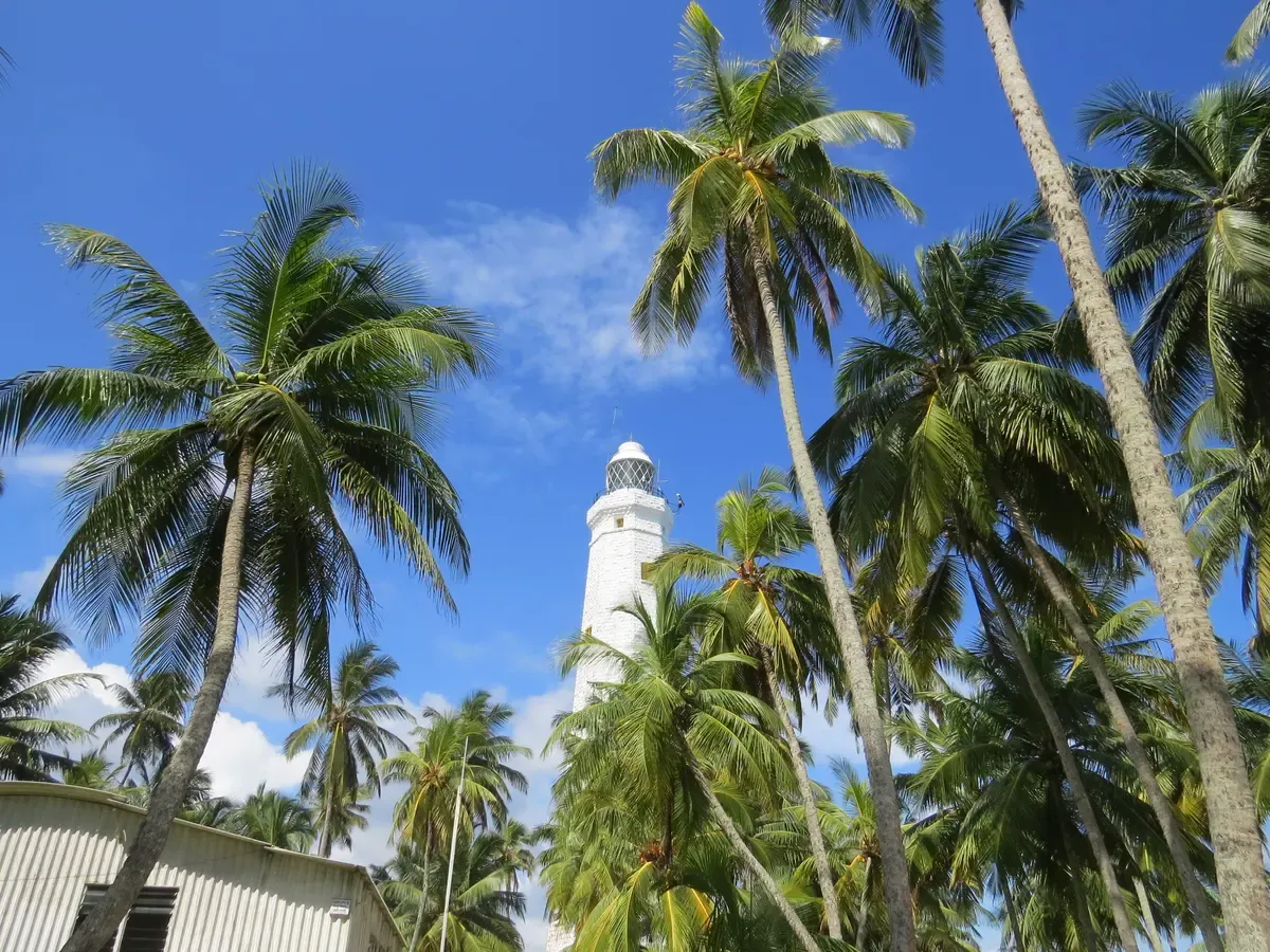Dondra Head lighthouse among palms, the headland Mirissa whale watching tours head toward, Sri Lanka