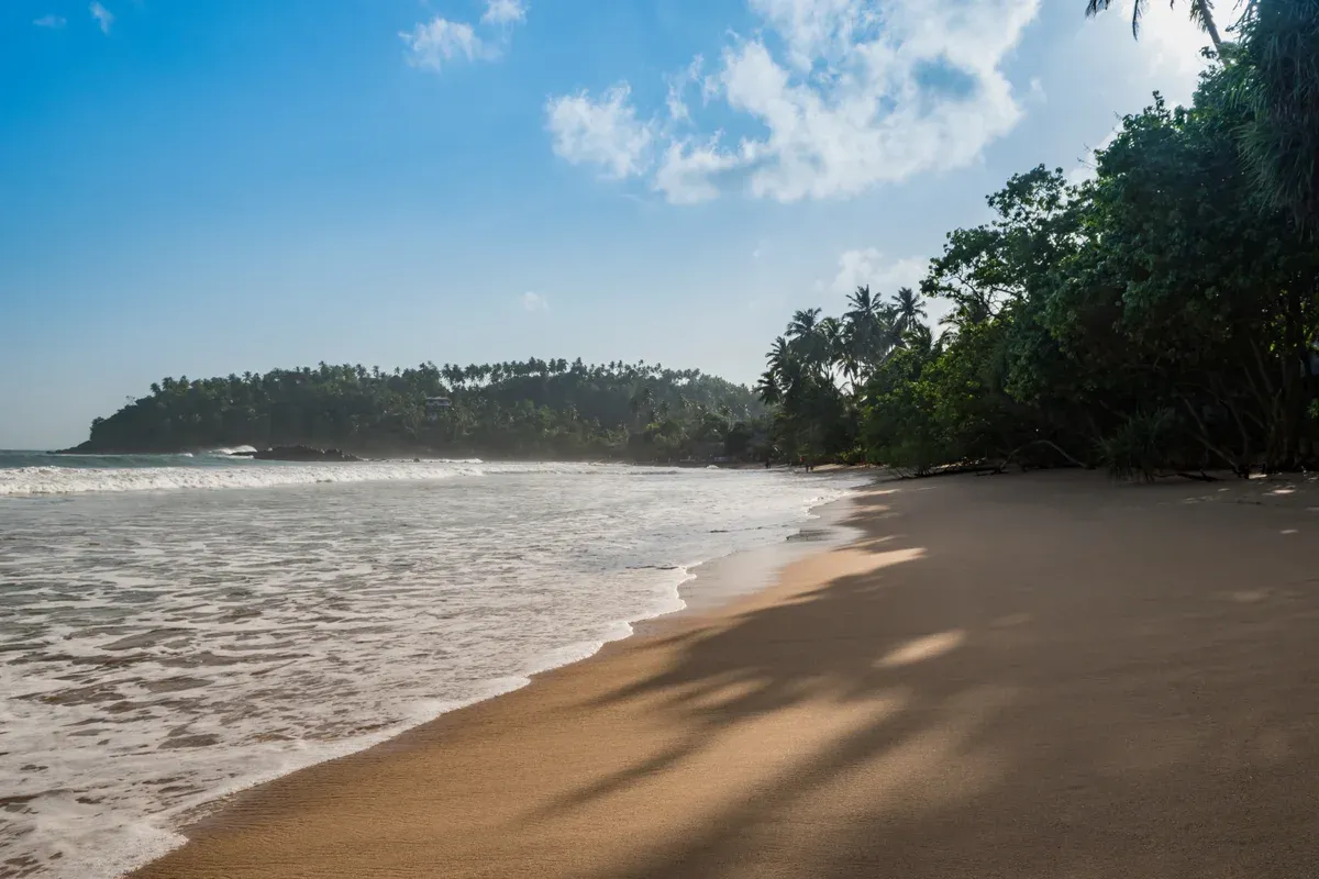 Mirissa beach and its palm headland, the base for Mirissa whale watching tours, Sri Lanka