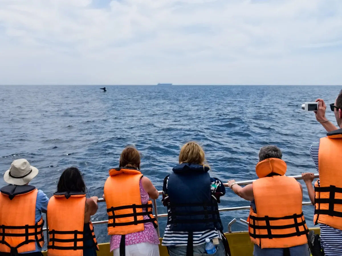 Passengers in life jackets at the rail watching a distant blue whale fluke on a Mirissa whale watching tour, Sri Lanka